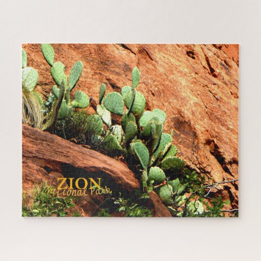 Zion National Park Utah, Cactus, Southwest Legpuzzel (Horizontaal)