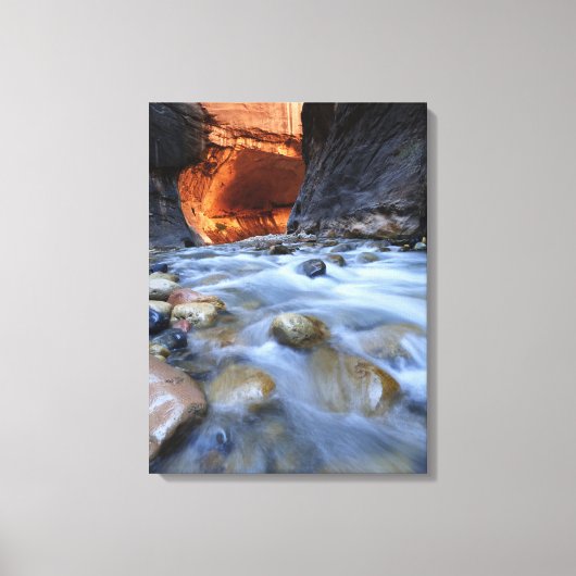 Zion National Park Utah the Narrows Fine Art Foto Canvas Afdruk (Voorkant)