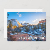 Zion National Park, Utah, USA Briefkaart (Voorkant / Achterkant)