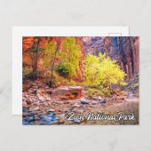 Zion National Park, Utah, Verenigde Staten Briefkaart (Voorkant / Achterkant)