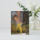 Zion National Park, Utah. Verenigde Staten. Epheme Briefkaart (Staand voorkant)