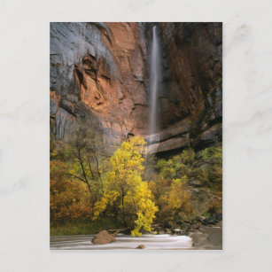 Zion National Park, Utah. Verenigde Staten. Epheme Briefkaart