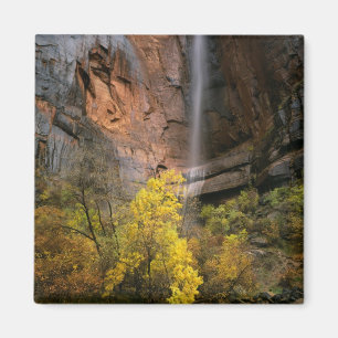 Zion National Park, Utah. Verenigde Staten. Epheme Magneet