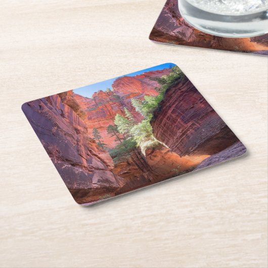 Zion National Park, Utah, Verenigde Staten Kartonnen Onderzetters (Schuin)