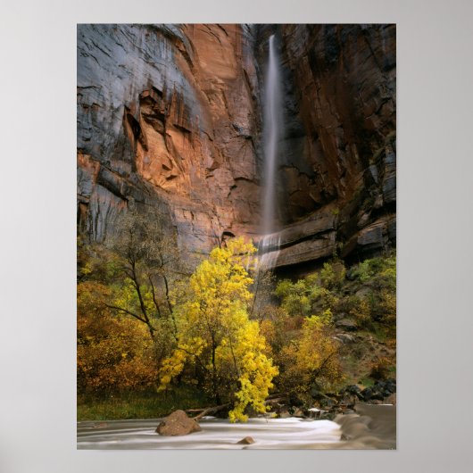 Zion National Park, Utah. VS. Efemeer Poster (Voorkant)