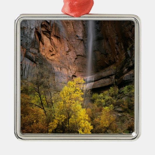 Zion National Park, Utah. VS. Ephemeral Metalen Ornament (Voorkant)