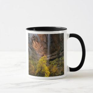 Zion National Park, Utah. VS. Vergankelijk Mok