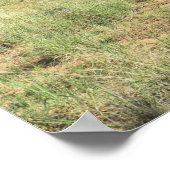 Zion National Park, Verenigde Staten Poster (Hoek)