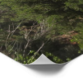 Zion National Park, Verenigde Staten Poster (Hoek)