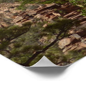 Zion uit Angels Landing Trail Zion National Park Poster (Hoek)