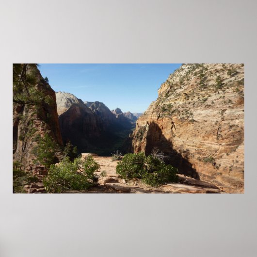Zion uit Angels Landing Trail Zion National Park Poster (Voorkant)