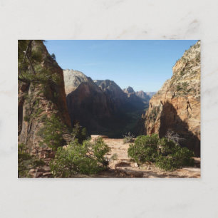 Zion vanaf Angels Landing Trail Zion National Park Briefkaart