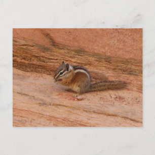 Zion Wangsquirrel op Rode Rotsen Briefkaart