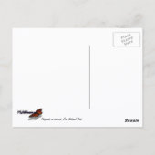 Zion Wangsquirrel op Rode Rotsen Briefkaart (Achterkant)
