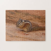Zion Wangsquirrel op Rode Rotsen