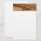 Zion Wangzandgrondeekhoorn op Rode Rotsen Briefpapier (Voorkant / Achterkant)