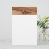 Zion Wangzandgrondeekhoorn op Rode Rotsen Briefpapier (Staand voorkant)