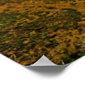 zionengels die vanaf 8.99 poster aanlanden (Hoek)