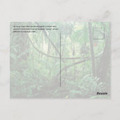 Zipline Briefkaart (Achterkant)