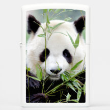 Zippo Lighter Foto: reuzenpanda, dieren 0399.