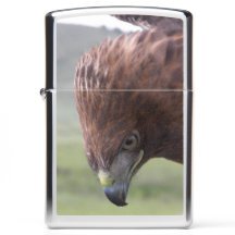 ZIPPO LIGHTER VROUW RED TAILED HAWK