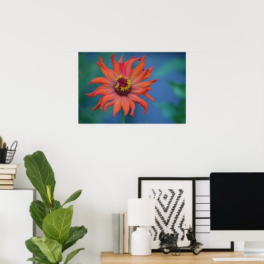 Zippy Zinnia Poster (Thuiskantoor)