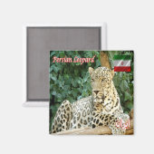 zIR006 PERSIAN LEOPARD, Iran, Azië, Fridge Magneet (Voorkant / Achterkant)