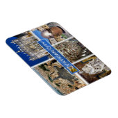 ZIT000 ROME Vaticaanstad. Sint-Peter's plein, Magneet (Rechterzijde)