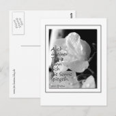 Zitat-Traene Briefkaart (Voorkant / Achterkant)