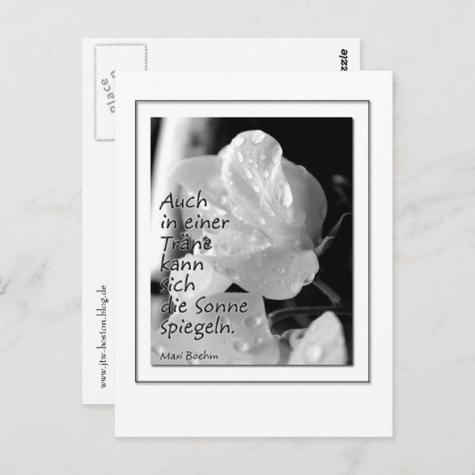 Zitat-Traene Briefkaart (Voorkant / Achterkant)