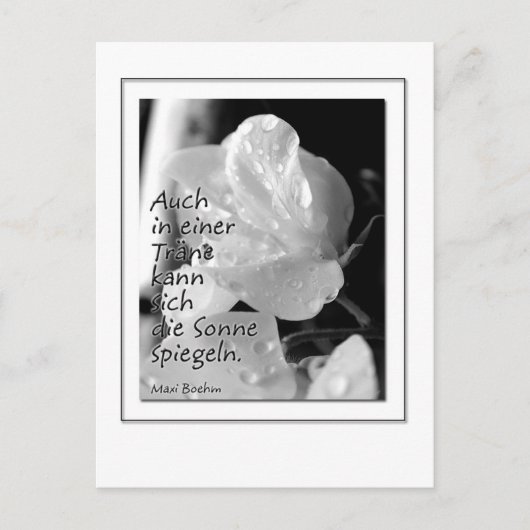 Zitat-Traene Briefkaart (Voorkant)