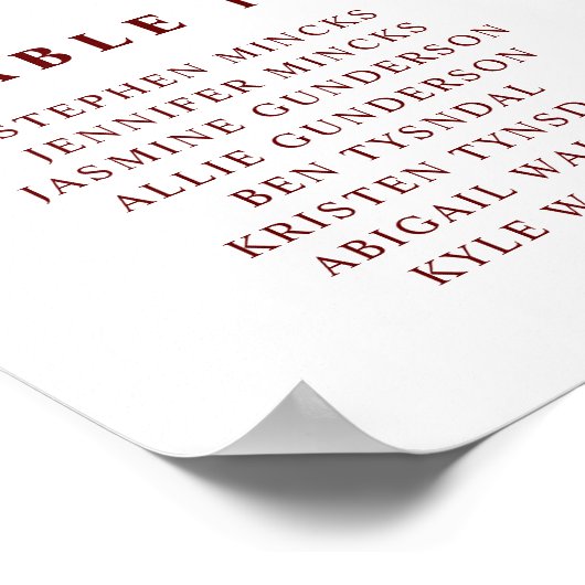 Zitkast van het gevlochten Roos Foam B Poster (Hoek)