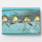 Zitkikkers Fotoplaat (voorkant)