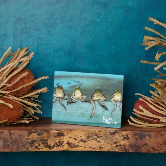 Zitkikkers Fotoplaat (Zijkant)