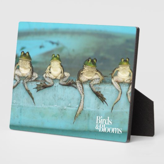 Zitkikkers Fotoplaat (Zijkant)