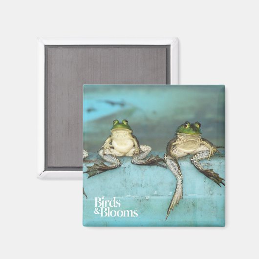 Zitkikkers Magneet (Voorkant / Achterkant)