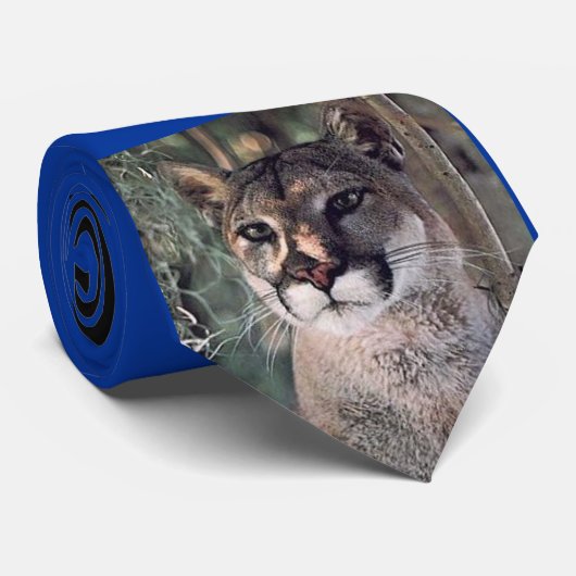 zitmeubelen, Scanling Cougar, Cougar Pride Stropdas (Opgerold)