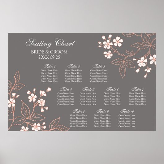 Zitplaats Grafiek 10 Grafiek Koraal Poster (Voorkant)