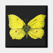 Zitronenfalter Magneet (Voorkant)