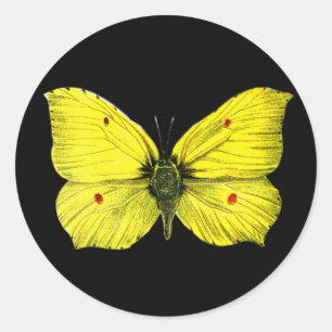 Zitronenfalter Ronde Sticker