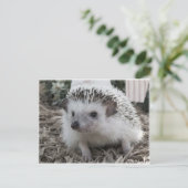 Zitten  briefkaart (Staand voorkant)