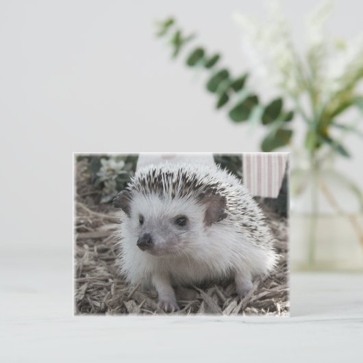 Zitten  briefkaart (Staand voorkant)