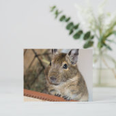 Zitten | Cute Degu Briefkaart (Staand voorkant)