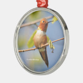 Zitten : Mannelijke Rufous Hummingbird Metalen Ornament (Links)