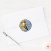 Zitten : Mannelijke Rufous Hummingbird Ronde Sticker (Envelop)