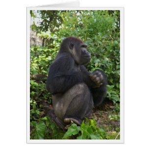 Zitten, misschien denken, maar waarschijnlijk, gew