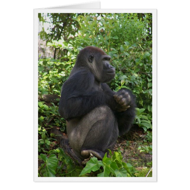 Zitten, misschien denken, maar waarschijnlijk, gew (Voorkant)