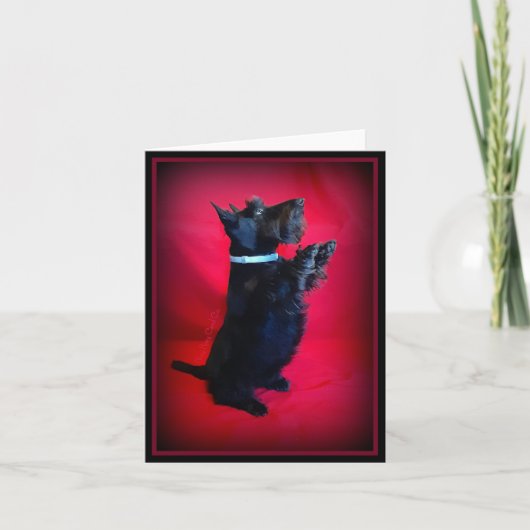 Zitten  notitiekaartje (Voorkant)