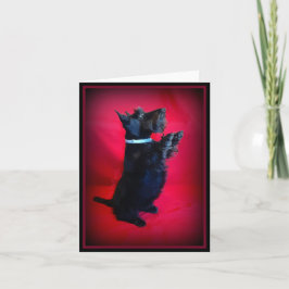 Zitten  notitiekaartje