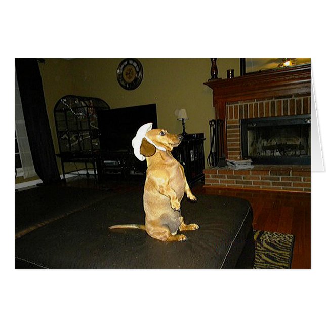 Zitten  of Tv-dachshund bekijken (Voorkant Horizontaal)